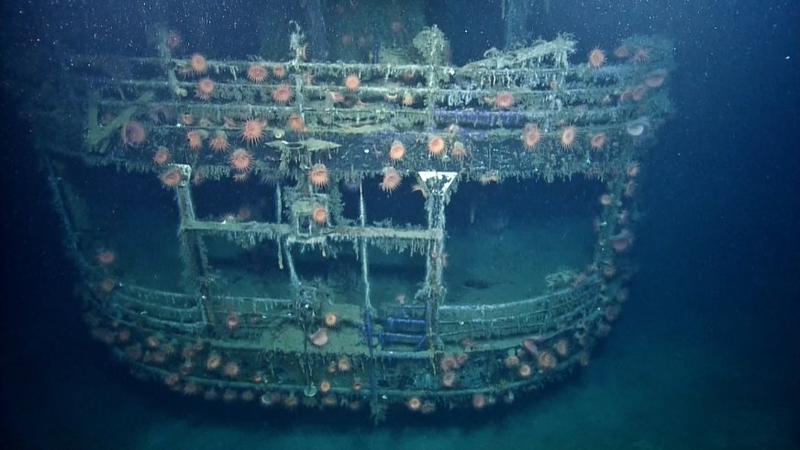 Illustration for article titled Spooky underwater photos reveal Nazi submarine off the coast of Texas